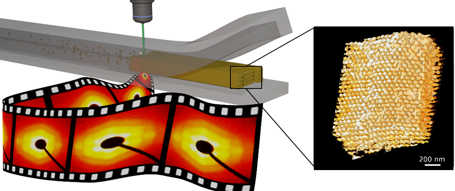 L’assemblage d’un supracristal dans un canal microfluidique est suivi dans le temps par diffusion des rayons X 
