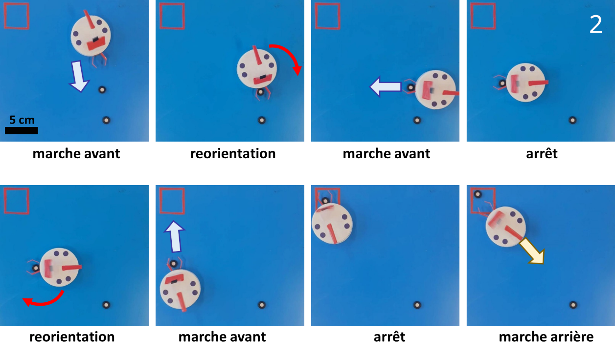 Séquence d'images montrant un robot muni d'une pince frontale collectant une pastille et la déposant dans une zone cible.